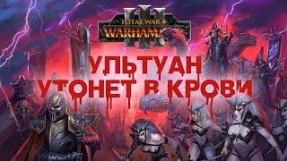 Тёмные Эльфы. Фракции Total War Warhammer 3