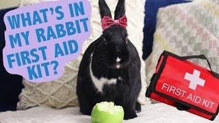 What's in My Rabbit First Aid Kit?