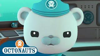 Octonauts - Captain's Super Adventures | Cartoons for Kids | Underwater Sea Education