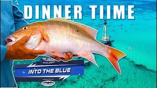 The BEST REEF FISHING is for DINNER |  Into The Blue