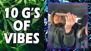 WEED MEMES & Fail Compilation [#141] - Fatally Stoned