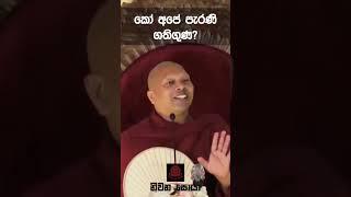 සීහෙලයා | Niwathapa Thero | Niwana Soya #shorts#niwathapathero#bana