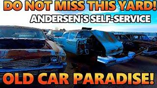 A Self-Service Auto Parts Junkyard FULL Of Classic Cars & Trucks! Pull YOUR OWN Parts & Explore!