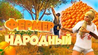 ЭТОТ ФЕРМЕР СОБРАЛ 20 ТЫСЯЧ АПЕЛЬСИНОВ ЗА НЕСКОЛЬКО ДНЕЙ! Majestic RP | GTA 5