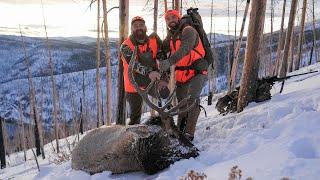 Hunting Late Season OTC BULL ELK in the SNOW!