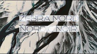 u-he Dark Zebra NORD Preset Walkthrough - Nordic Noir Cinematic Patches for Zebra2