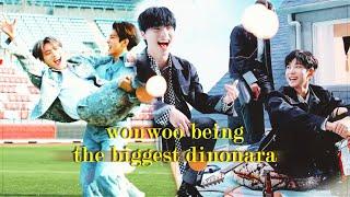 6 mins of wonwoo being whipped for dino (ft. dino's reaction) | svt moments