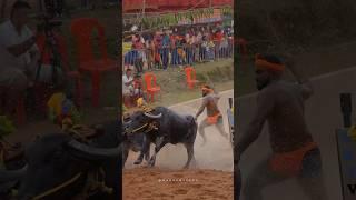 Kambala - Buffalo Race #kambala #race #natgeo #natgeoyourshot