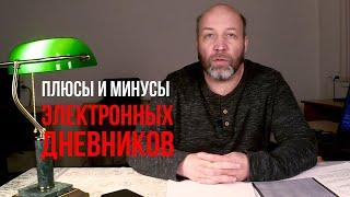 ЭЛЕКТРОННЫЙ ДНЕВНИК ВРЕДЕН ДЛЯ ШКОЛЫ И УЧЕНИКА?