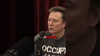 The Brutal Truth About Urban Safety Revealed!- Joe Rogan & Elon Musk.