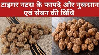 टाइगर नट्स के फायदे और नुकसान एवं सेवन की विधि | Tiger Nuts Benefits and Side Effects in Hindi...