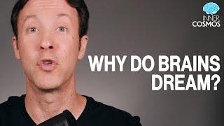 Ep 51: Why do brains dream? | INNER COSMOS WITH DAVID EAGLEMAN