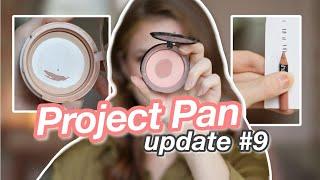 PROJECT PAN UPDATE: Trying to use up 22 items in 2022