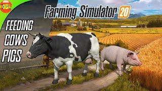 Cows And Pigs Time | Farming Simulator 20 timelapse gameplay fs20