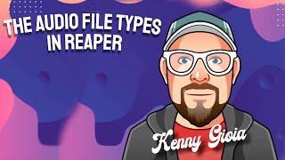 The Audio Files Types in REAPER