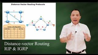 Distance vector routing protocols:  RIP and IGRP