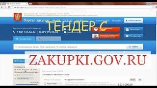 О том, как я делал бизнес. (25) Разберем тендер с zakupki.gov.ru