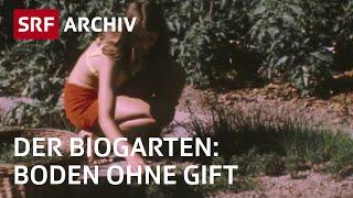 Der Boden im Biogarten (1975) | Der Biogärtner | Tutorial 1 von 3 | SRF Archiv