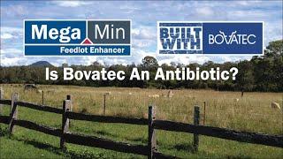 Is Bovatec an antibiotic?