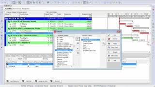 How to Make and Assign Resources: Labors, Materials, Equipment and Expenses in Primavera P6