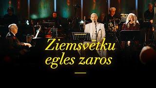 Ziemassvētku egles zaros | Koncerts "Ziemassvētki manā ielā"