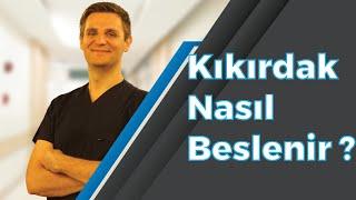 Kıkırdak vücudumuzda nasıl beslenir? - Prof.Dr. Alper GÖKÇE