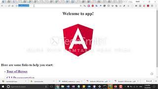 How to use Angular CLI with a Node.js App