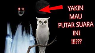 Suara Kuntilanak Dan Burung Hantu Di Malam Hari !!! Kalau Takut Jangan Diputar !!!