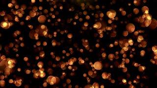Orange Bokeh Particles, Lens Bokeh Overlay - Motion background for edits-Free Video Background Loops