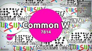 Common W in Agario