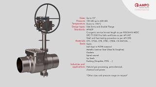 AMPO POYAM VALVES Cryogenic butterfly valve