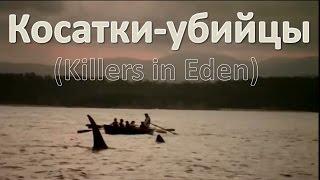 Косатки убийцы (Killers in Eden) HD
