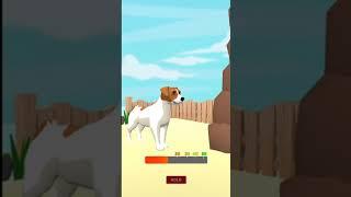 Dog Run - Fun Race 3D#gameplay #dogrunning