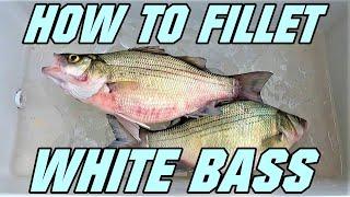 How To Fillet\Clean White Bass | Cleaning White Bass, Sand Bass, Barfish, Streaker, Silver Bass