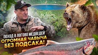 В ЛОГОВО МЕДВЕДЕЙ! КОРОЛЬ ЛОСОСЕЙ- ЧАВЫЧА более 10 кг, без подсака! Такая рыбалка только на КАМЧАТКЕ