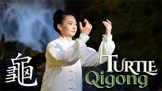 Turtle Walk Qigong with Vivien Chao