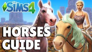 Everything You Need To Know About Horses [And Horse Riding] In The Sims 4 Horse Ranch