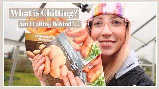 What is Chitting ‍️ Why February is the Perfect Time, & Am I Falling Behind? | Allotment Vlog #71