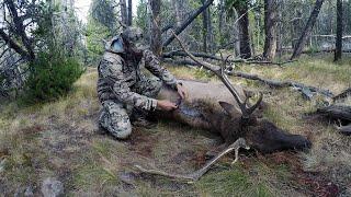 SOLO HNTR 10.4 "ARCHERY ELK" Bowhunting bull elk with Remi Warren