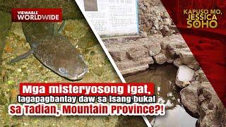 Mga misteryosong igat, tagapagbantay daw sa isang bukal?! | Kapuso Mo, Jessica Soho