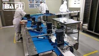 Bafu FWC350 High Speed Flow Wrapper at a South Korea chocolate factory