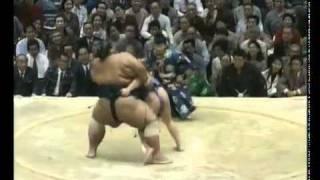 Sumo fight   Бой сумо