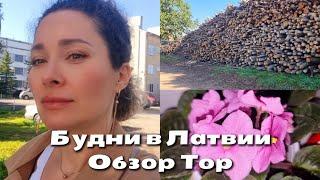 20 сентября 2024 г.Будни в Латвии/Обзор Тоp/Собираю вещи!#латвия #европа #цветы  #top