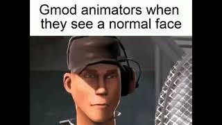 Gmod animators when they see a normal face