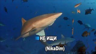 NikaDim -Не ищи -караоке