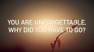 Conor Maynard, Anth - Unforgettable (with lyrics)