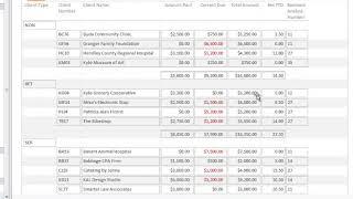 Microsoft Access: How to Filter Records in a Report and Clear the Filter (Save and Close)