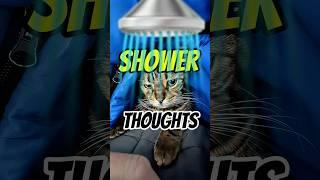 Shower thoughts  #cat #cats #meow #capcut #shorts #funny #showerthoughts #random #pet