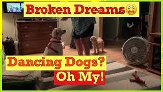 Broken RV Dreams, Dancing Dogs, RV life, Oh My!