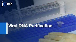 Viral DNA Purification to Identify Viral and Cellular Proteins | Protocol Preview